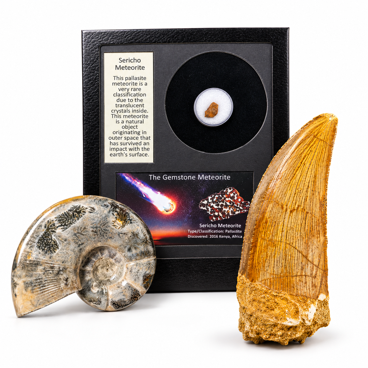 Astro Gallery - Natural History Treasures