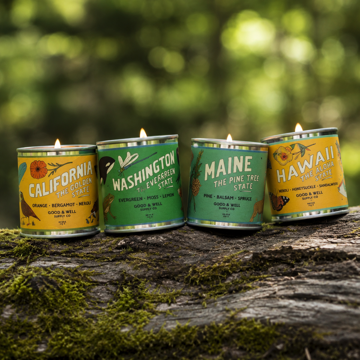 State & National Parks Candles by Good & Well Supply Co.