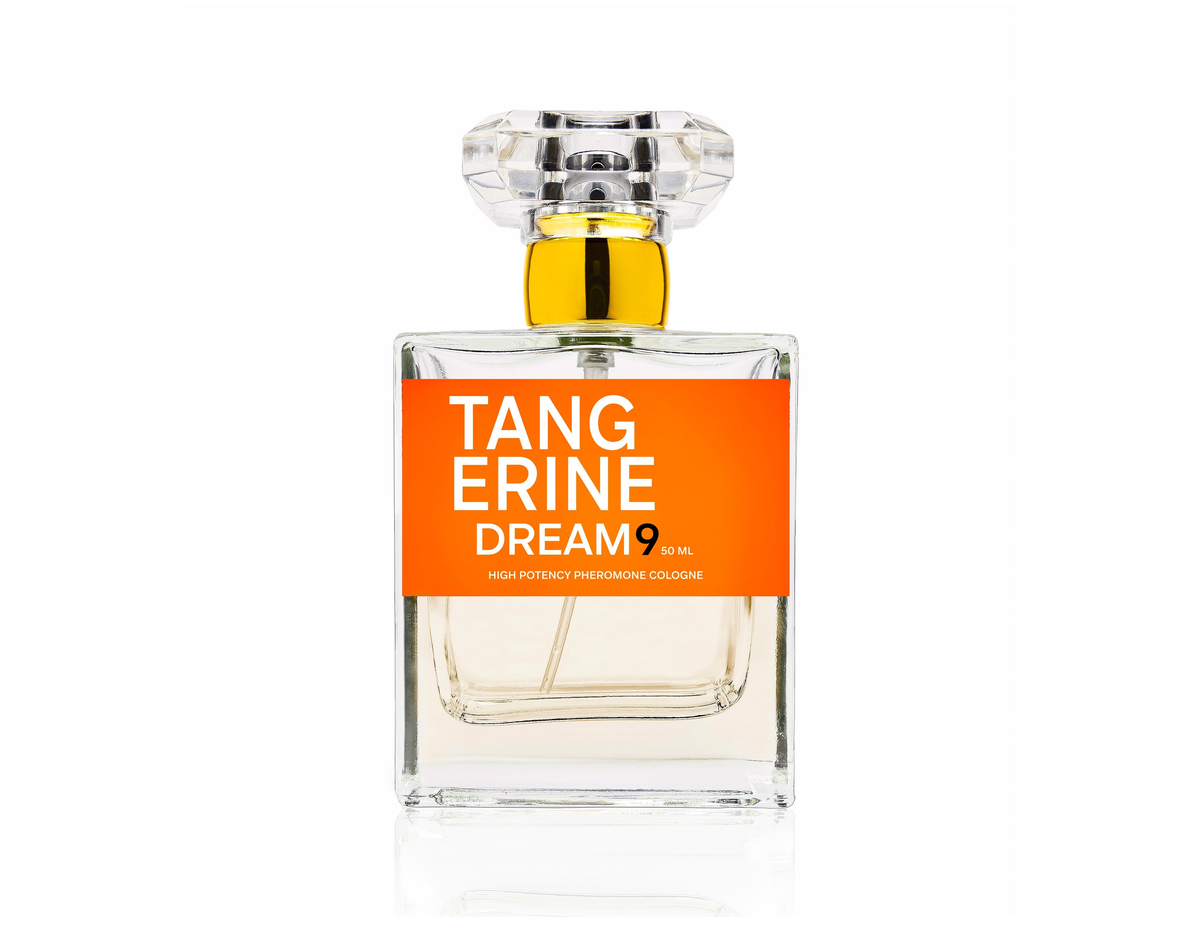TANGERINE DREAM