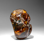 Genuine Amber From Baltic Sea