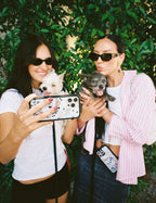 Puppy Party iPhone Case