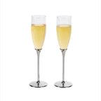 Boston Champagne Toasting Flutes Set