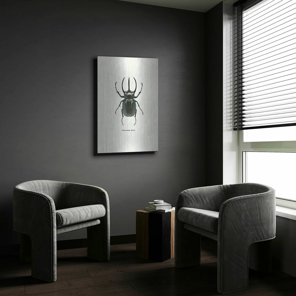 Beetle Black