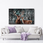 Staring Deers