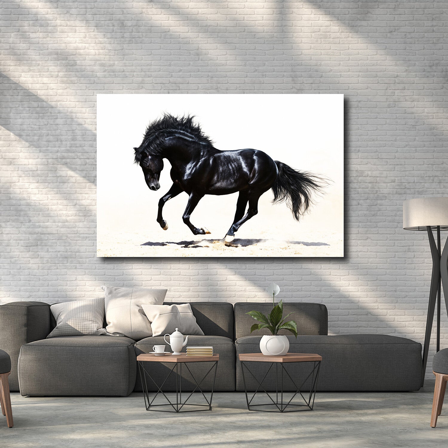 Black Stallion