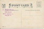 Vintage Football Themed Post Card "A Rush to Centre My Favorite Play" 148969