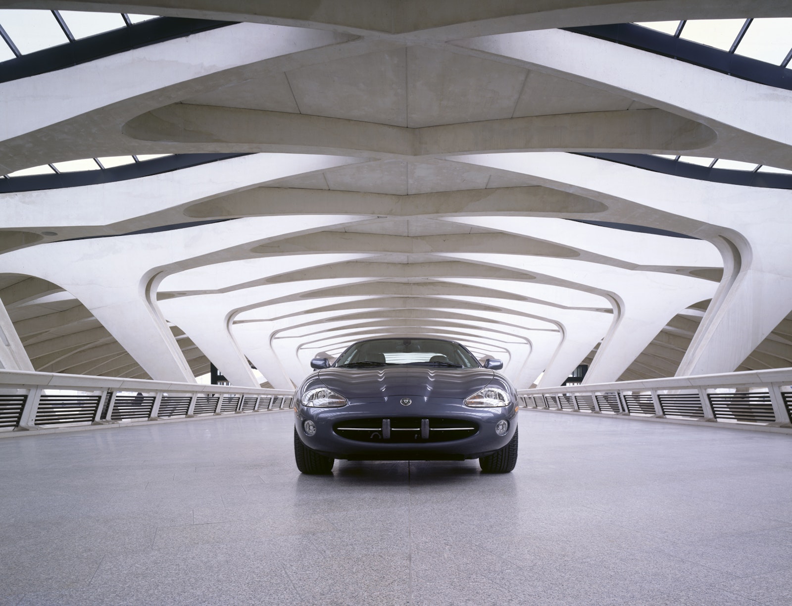 The Jaguar Book ­- Collector's Edition