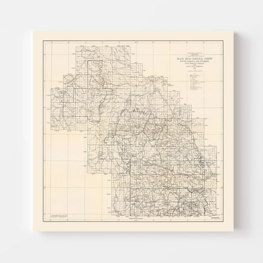 Vintage Harney National Forest Map 1939