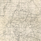 Vintage Harney National Forest Map 1939