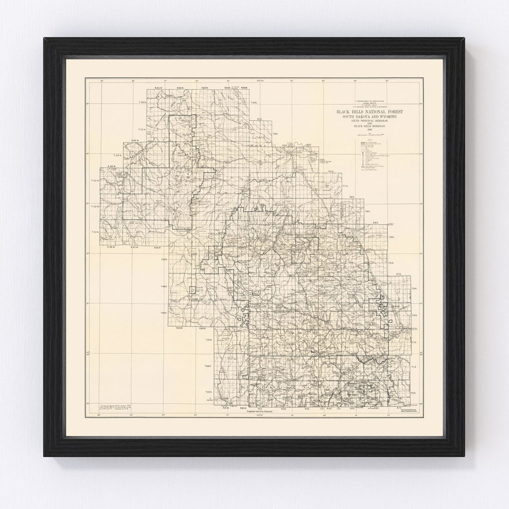 Vintage Harney National Forest Map 1939