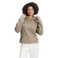 The North Face Women's Wool Harrison Pullover Hoodie - Small