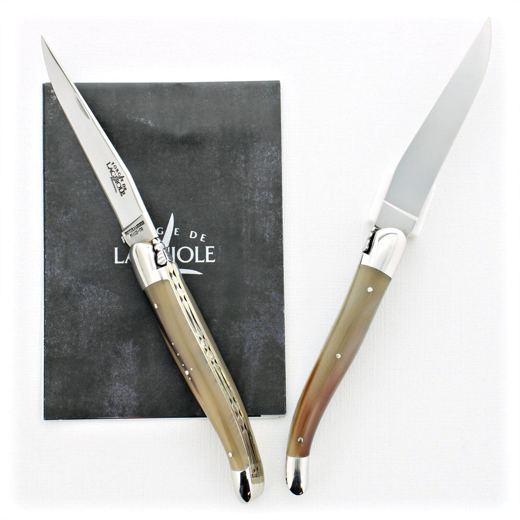 12 cm Carvé Source Series - Light Horn Tip Handle - Shiny