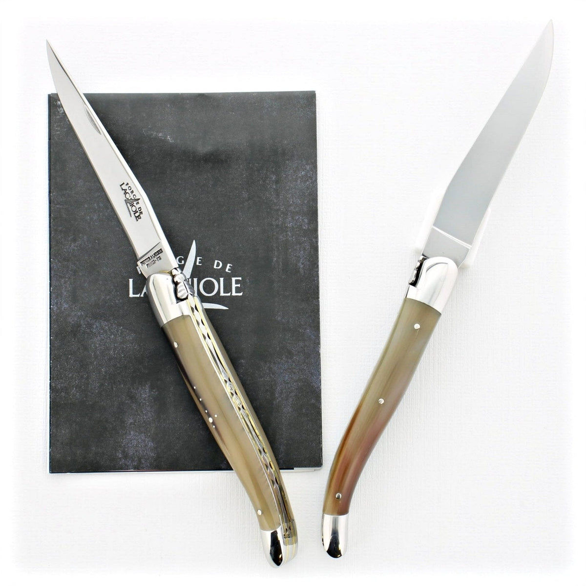 12 cm Carvé Source Series - Light Horn Tip Handle - Shiny