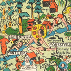 Vintage Map of Sonoma County, California 1951