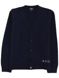 Cardigan Kenny in Blue