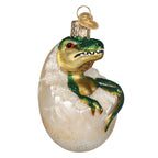 Baby Dino In Egg Ornament