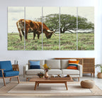 Texas Longhorn Wall Art Canvas Print, Rustic Western Ranch
