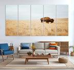 Buffalo Wall Art Canvas Print, Framed Western Wildlife Rustic Prairie Scene
