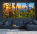 Forest Sunset Wall Art Canvas Print | Green Pines in Golden Light