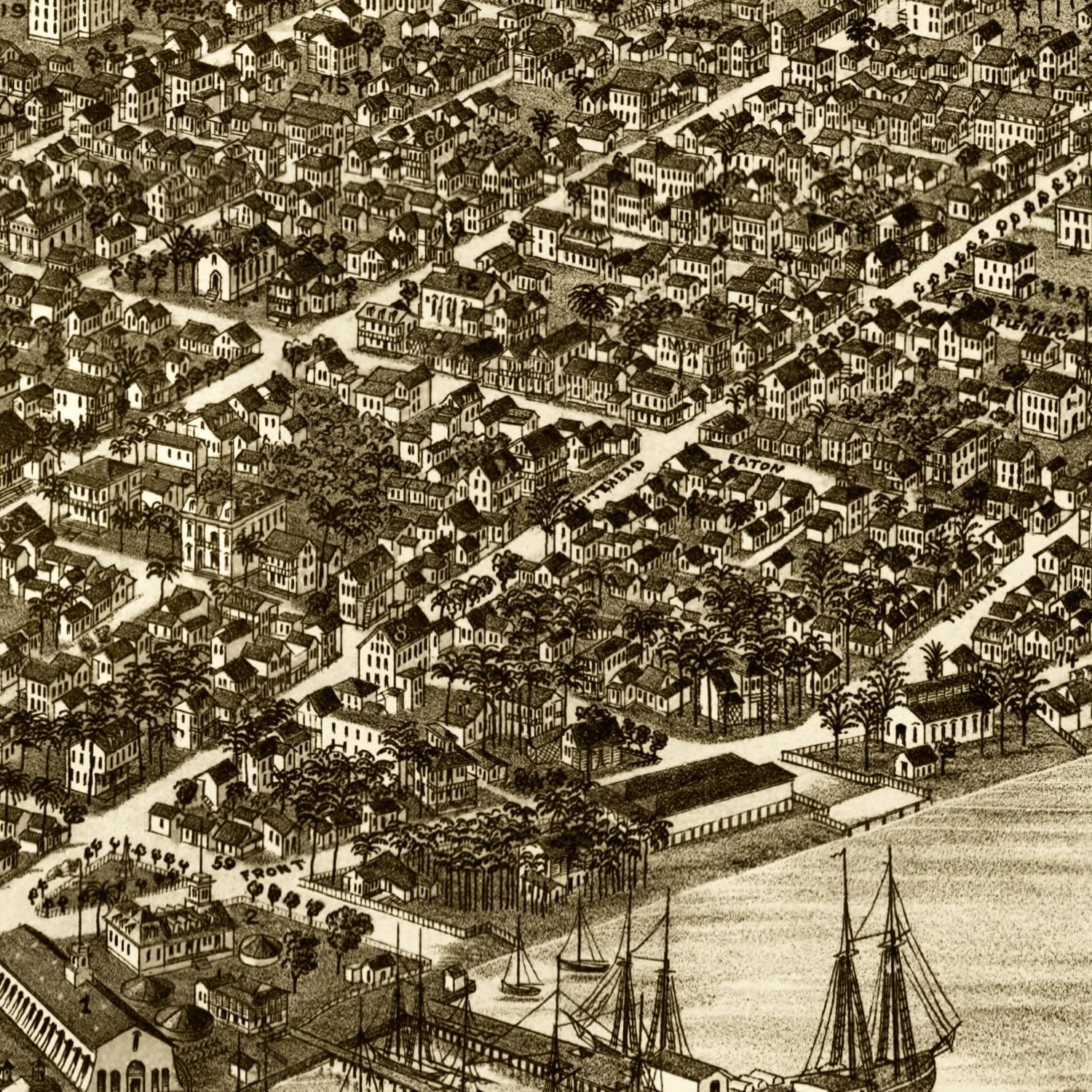 Vintage Map of Key West, Florida 1884