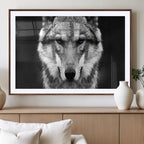 Black and White Wild Wolf Wall Art Canvas Print
