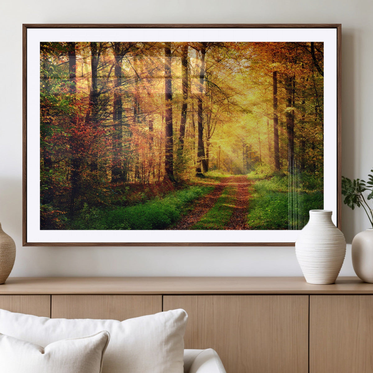 Sunlight Through Trees Wall Art Canvas Print | Autumn Forest Wall Art