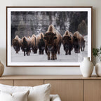 Bison Wall Art Canvas Print, Bison Herd Canvas Wall Art