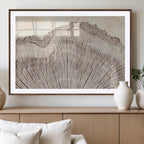 Tree Ring Wall Art Triptych, Rustic Wood Ring Canvas Print