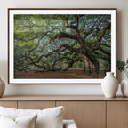 Historic Tree Wall Art | Framed Mossy Branch Canvas Artwork