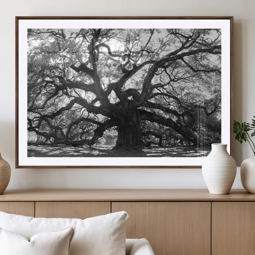Ancient Oak Wall Art Canvas Print | Gnarled Tree with Twisted Branches