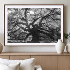 Ancient Oak Wall Art Canvas Print | Gnarled Tree with Twisted Branches