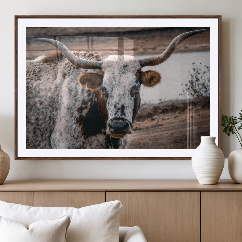 Texas Longhorn Wall Art Canvas Print | Framed Brown and White Spotted Longhorn
