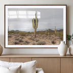 Saguaro Cactus Wall Art | Framed Desert Canvas Artwork