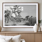 Joshua Tree Wall Art | Black & White Canvas Print, Nature Serenity Decor