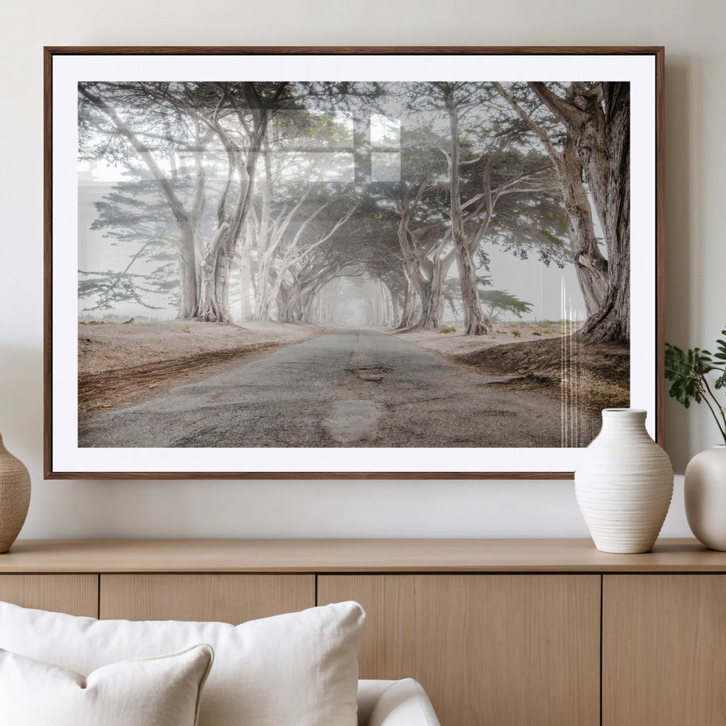 Cypress Tunnel Wall Art | Framed Misty Road Canvas Artwork