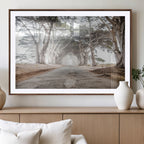 Cypress Tunnel Wall Art | Framed Misty Road Canvas Artwork