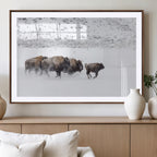 Bison Herd Wall Art Canvas Print, Framed Snowy Bison Scene, Winter Wildlife Decor