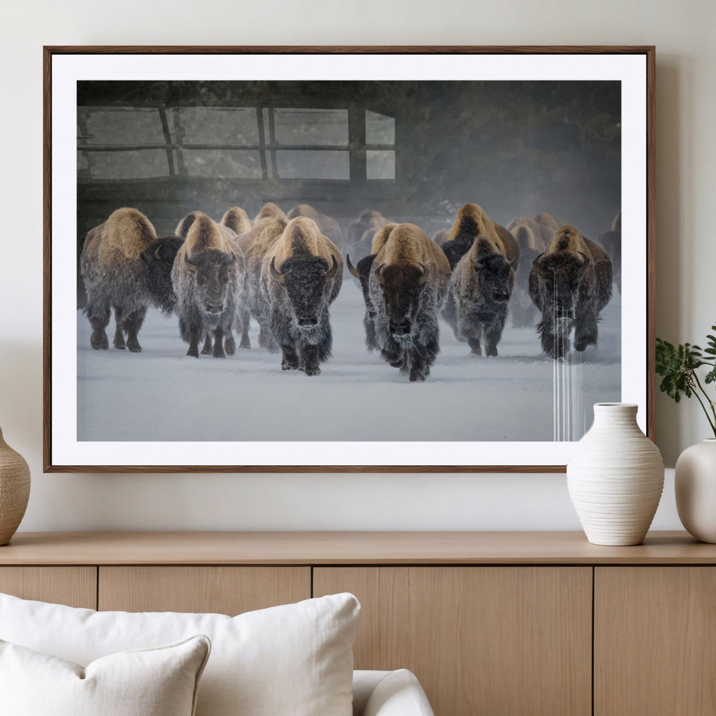 Bison Herd Wall Art Canvas Print, Framed Rustic Wildlife Decor, Snowy Bison Landscape