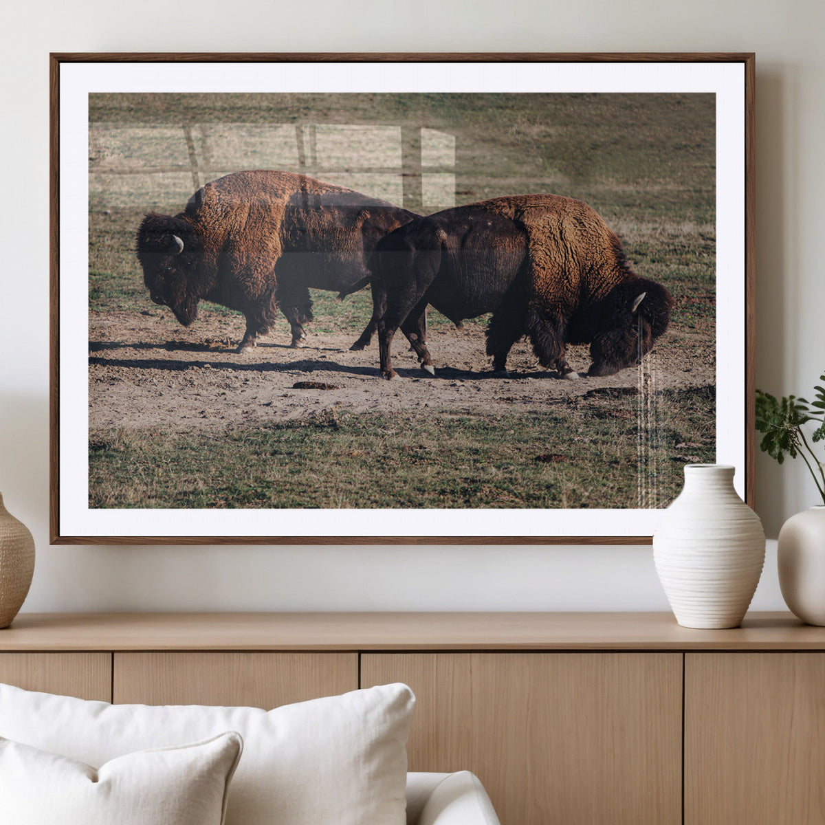 Bison Wall Art Canvas Print, Framed Western Wildlife Modern Ranch