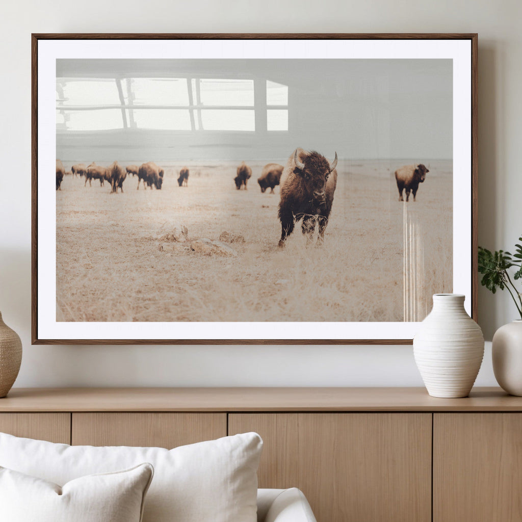 Bison Herd Wall Art Canvas Print, Framed Western Prairie Serenity