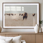 Bison Herd Wall Art Canvas Print, Framed Western Prairie Serenity