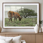 Texas Longhorn Wall Art Canvas Print, Framed Rustic Ranch Western Cattle