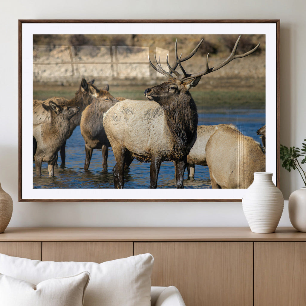 Wild Elk Wall Art Canvas Print, Framed Neutral Wildlife Scene