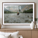 Wild Bison Wall Art Canvas Print, Majestic Mountain Pines and Misty Wilderness