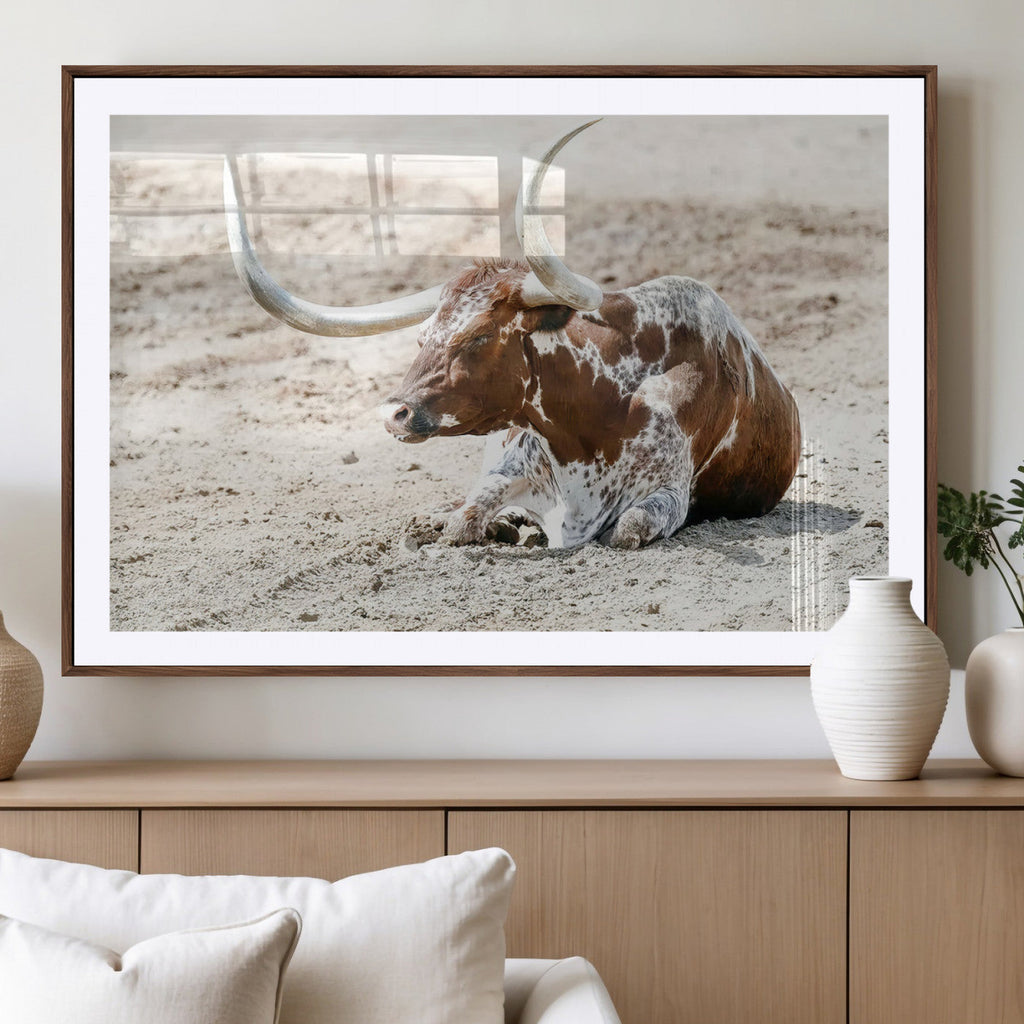 Majestic Longhorn Wall Art Canvas Print, Resting on Sunlit Desert Ground