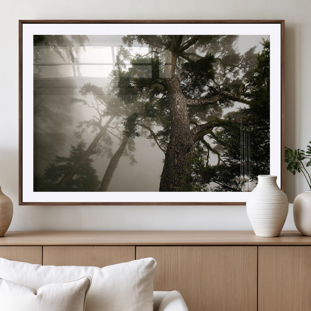 Misty Forest Wall Art Canvas Print, Framed Tall Trees in Foggy Atmosphere