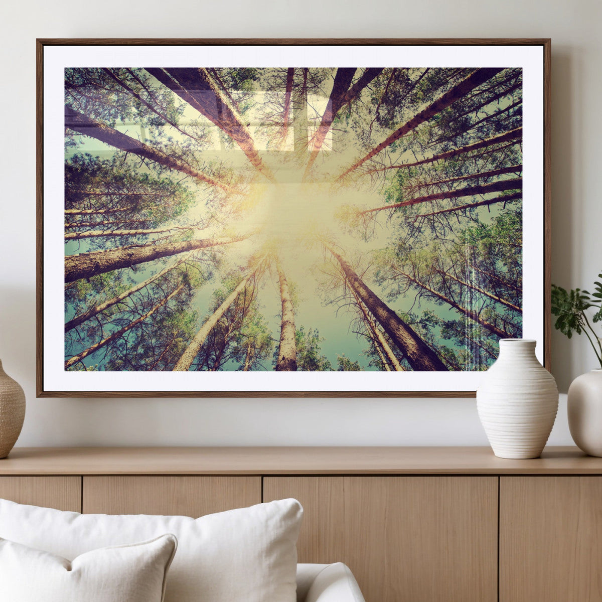 Tree and Sunshine Canvas Print