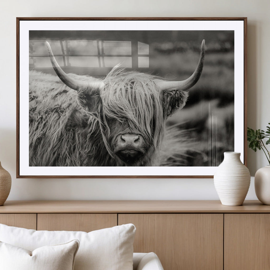 Cow Focus Canvas Wall Art Print