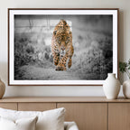 Jaguar Wall Art Canvas Print, Majestic Big Cat in Focused Pursuit