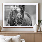 Black and White Horse Winter Wall Art, Ready to Hang